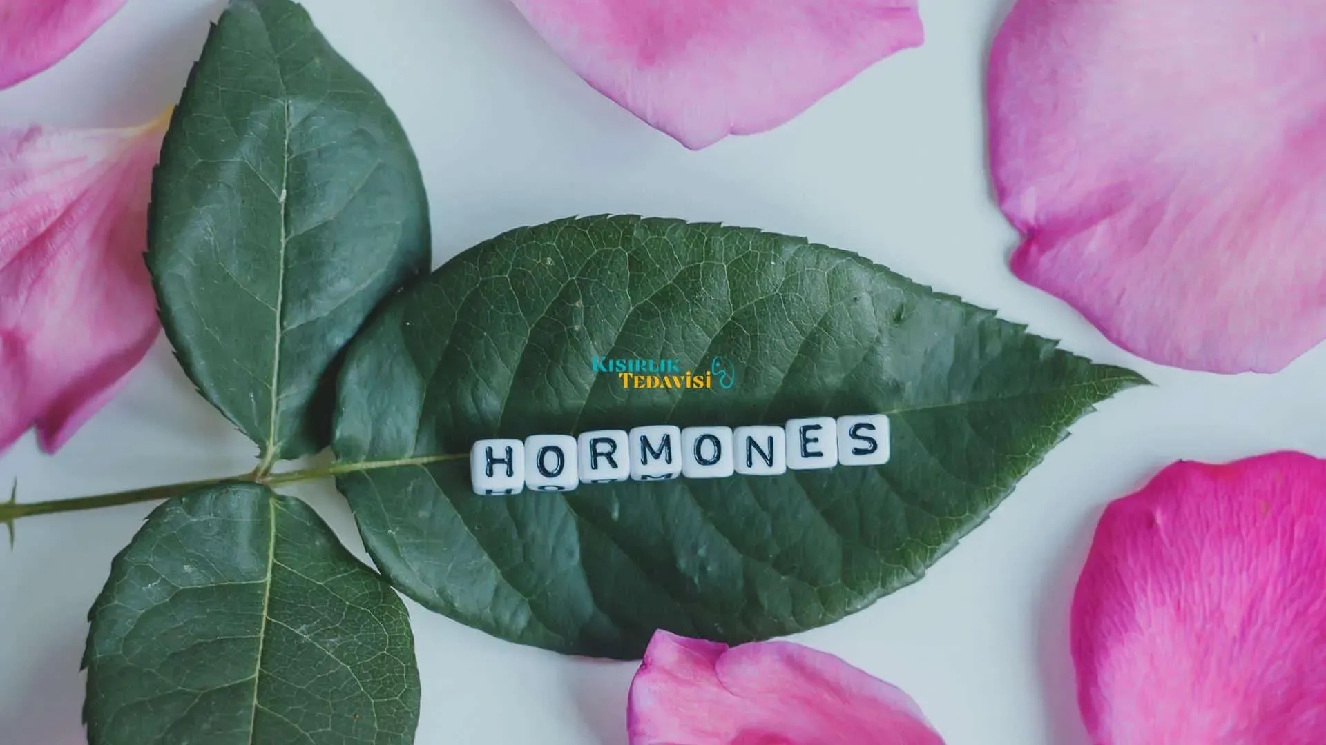 Hormonal Sağlık Rehberi: Kadınlar ve Erkekler İçin Kılavuz