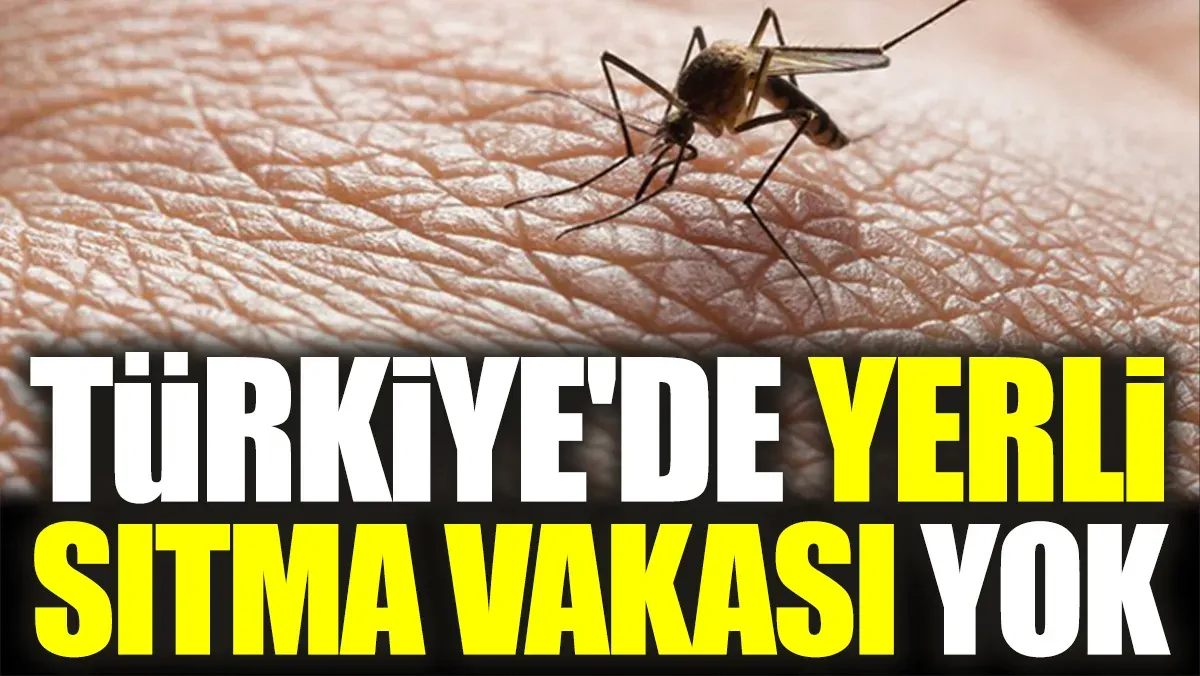 Türkiye Sıtma Vakası: Yerli Sıtma Bulaşı Yok