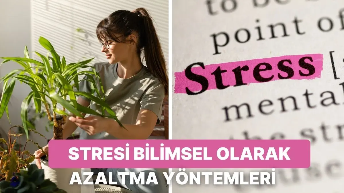Stresi Azaltmanın Bilimsel Yolları: Günlük Uygulamalar
