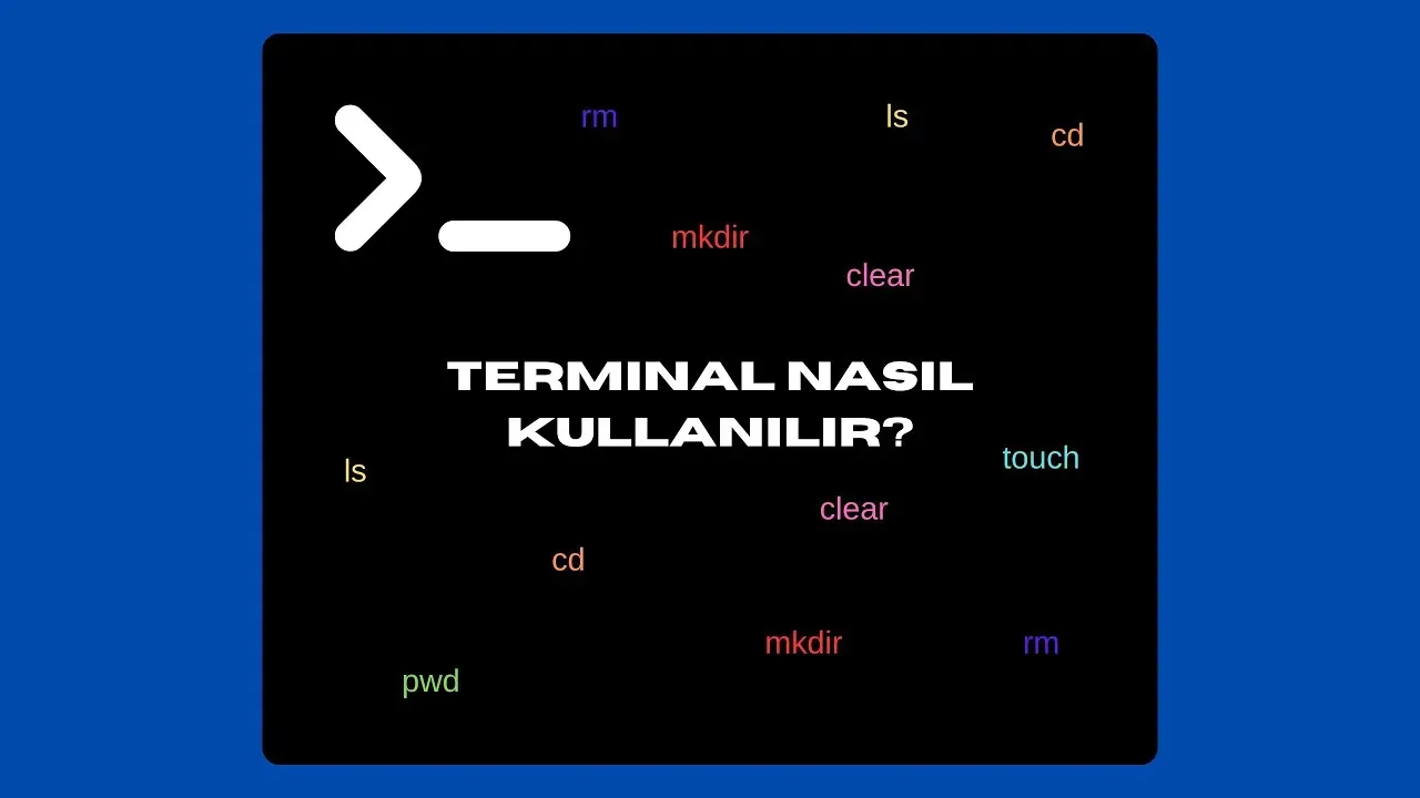 Terminal kullanımı vaka çalışmaları: Şirketler nasıl kazandı?