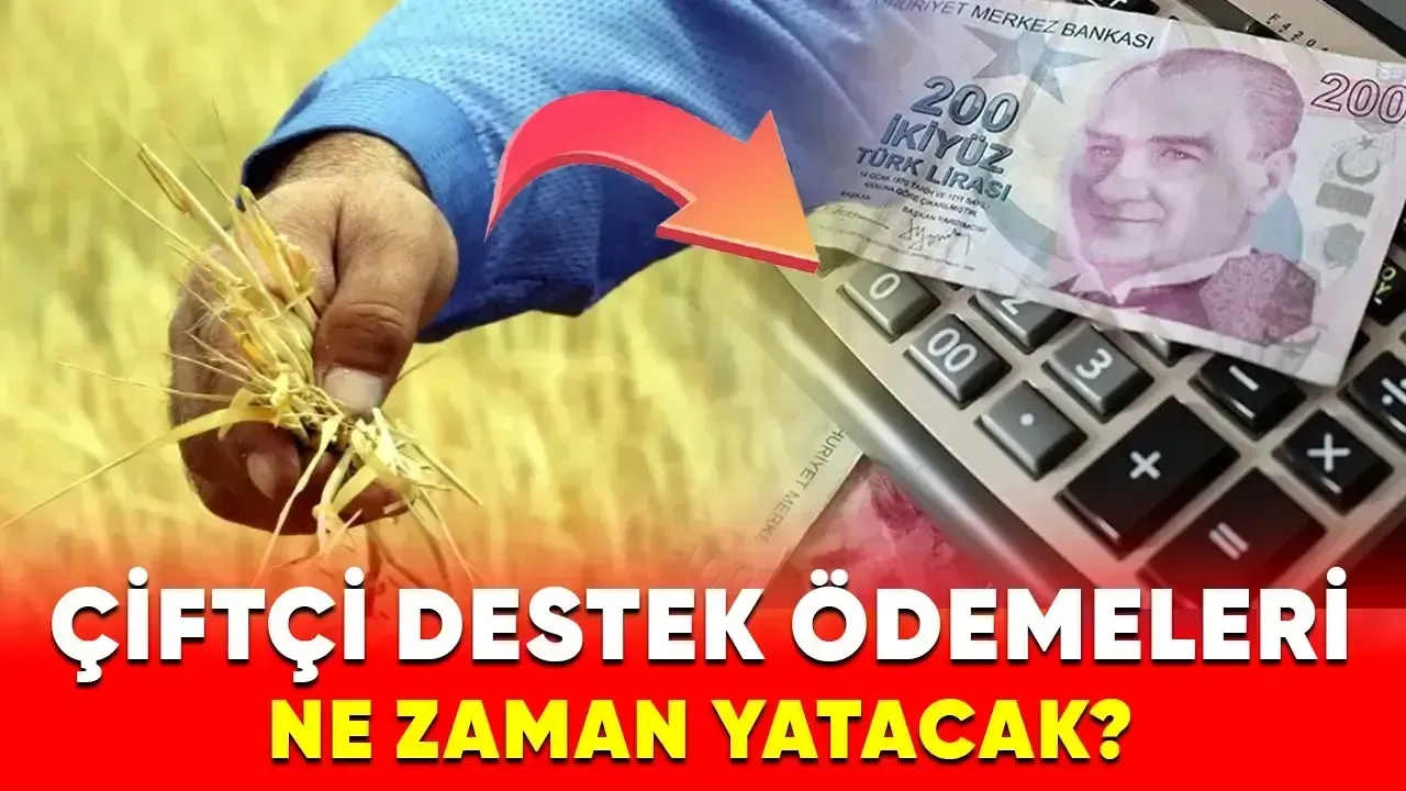 Çiftçi Destekleme Ödemesi Hesaplara Yatmaya Başladı