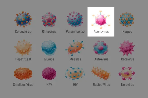 Adenovirüs: Çocuklarda Nedir ve Belirtileri Nelerdir?