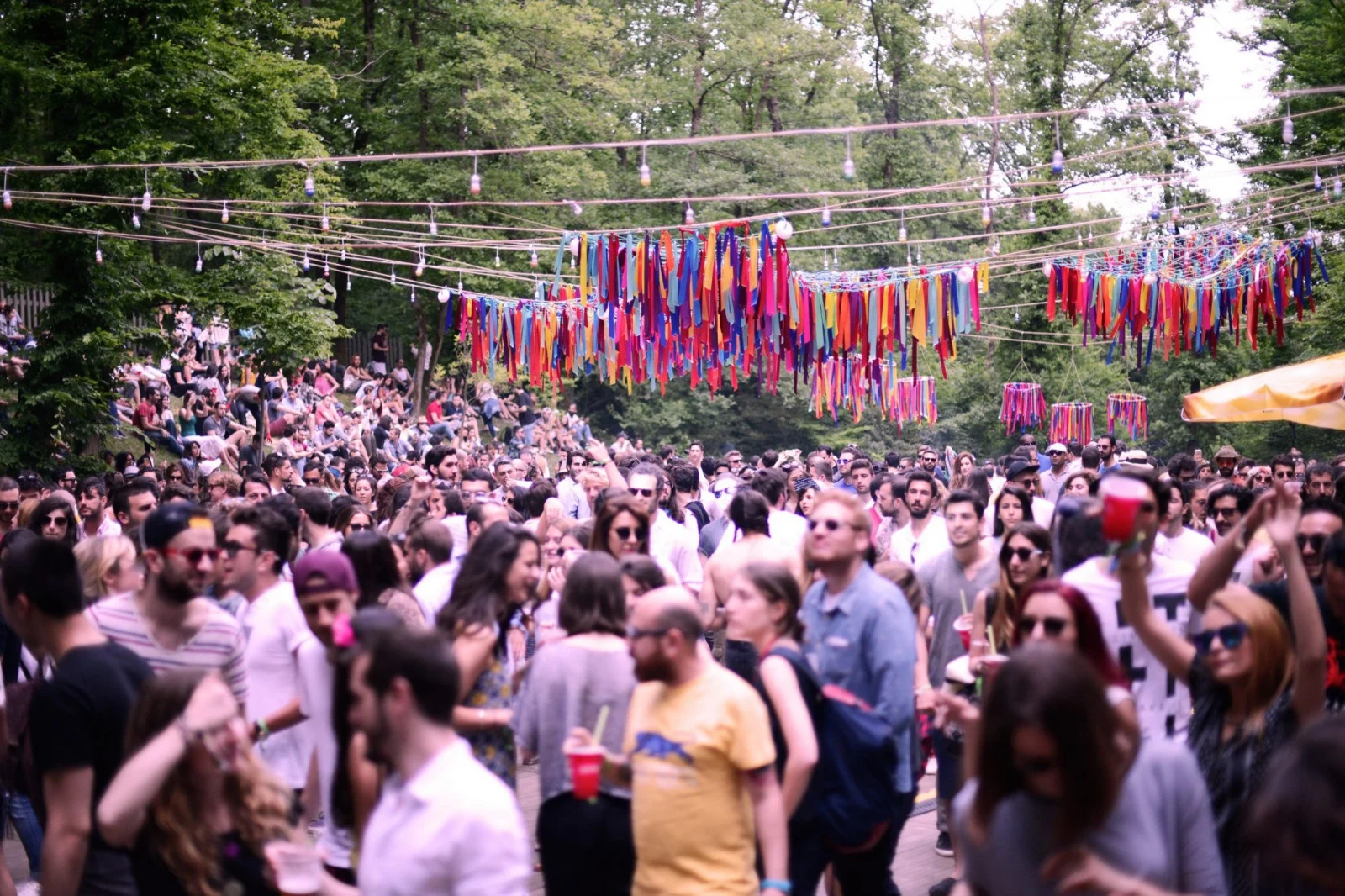 Müzik Festivalleri Rehberi: Bu Yaz Katılmanız Gereken Etkinlikler