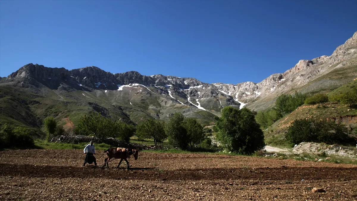 Porga Vadisi: Malatya’nın Doğu Anadolu Hazinesi