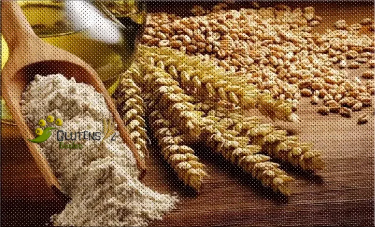 Siyez Buğdayı: Ata Tohumunun Hasadı Başladı