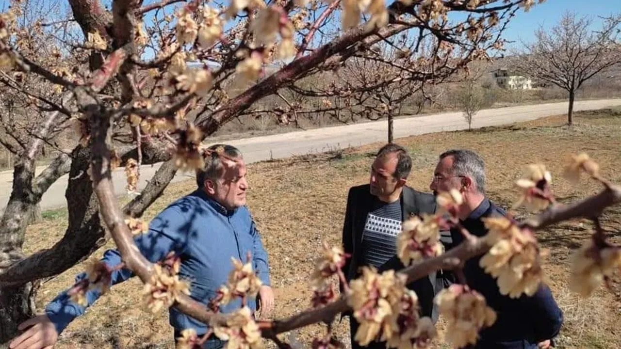 Zirai Don Hasar Tespiti: Çiftçilerimize Destek Olacağız