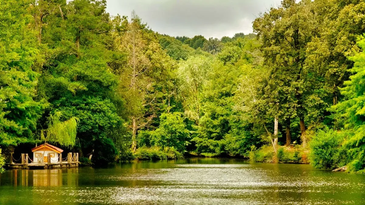 Atatürk Arboretumu: İstanbul'da Gezilecek Yerler