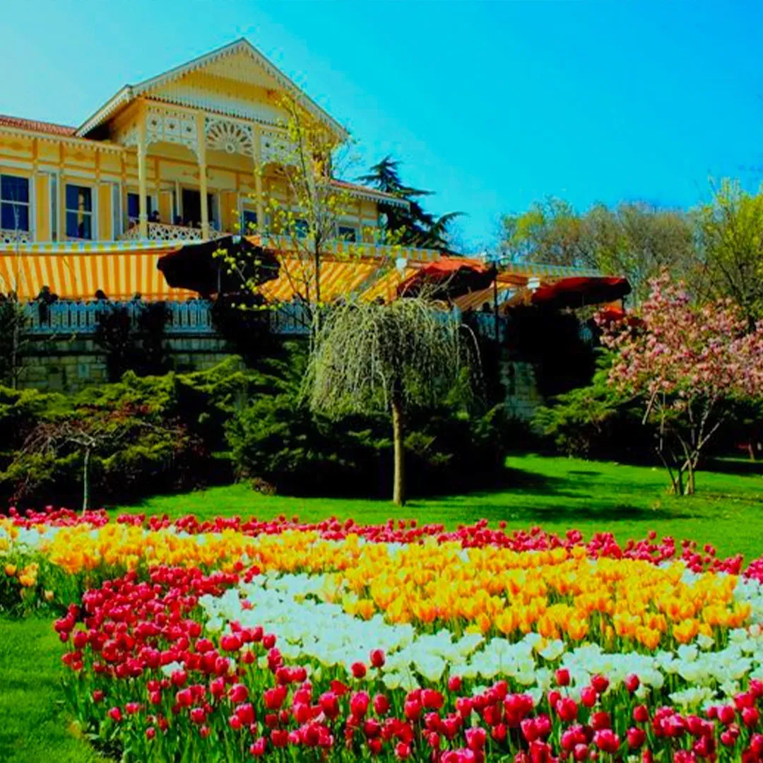 Emirgan: İstanbul'un Doğal Güzellikleri ve Lale Festivali