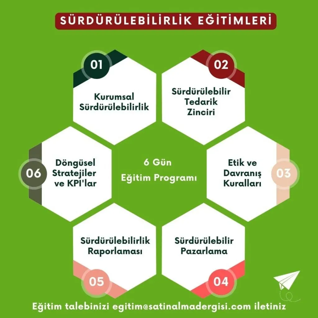 Eğitim ve Sürdürülebilirlik: Sorumlu Öğrenme İçin Stratejiler