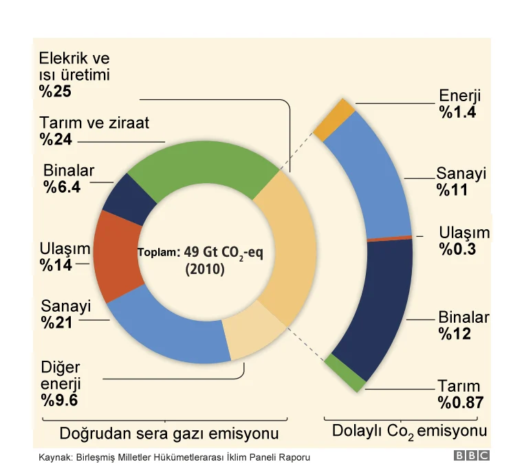 Küresel İklim Değişikliği: Son Durum ve Alınan Önlemler