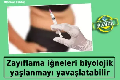 Zayıflama İğneleri ile Kilo Verme Yöntemleri