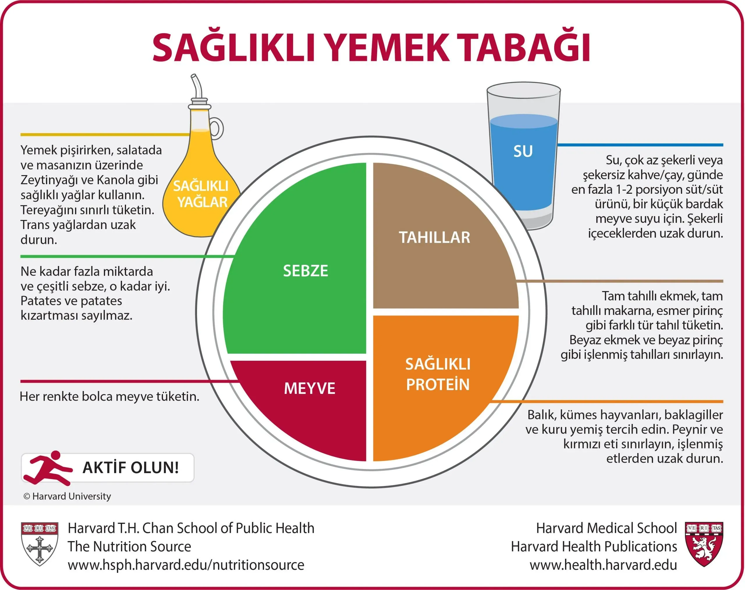 Saglikli Beslenmede Denge: Makro ve Mikro Besinler Birlesir