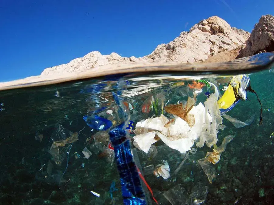 Plastiklerin Tehlikeleri: Kanser Riskinizi Azaltın
