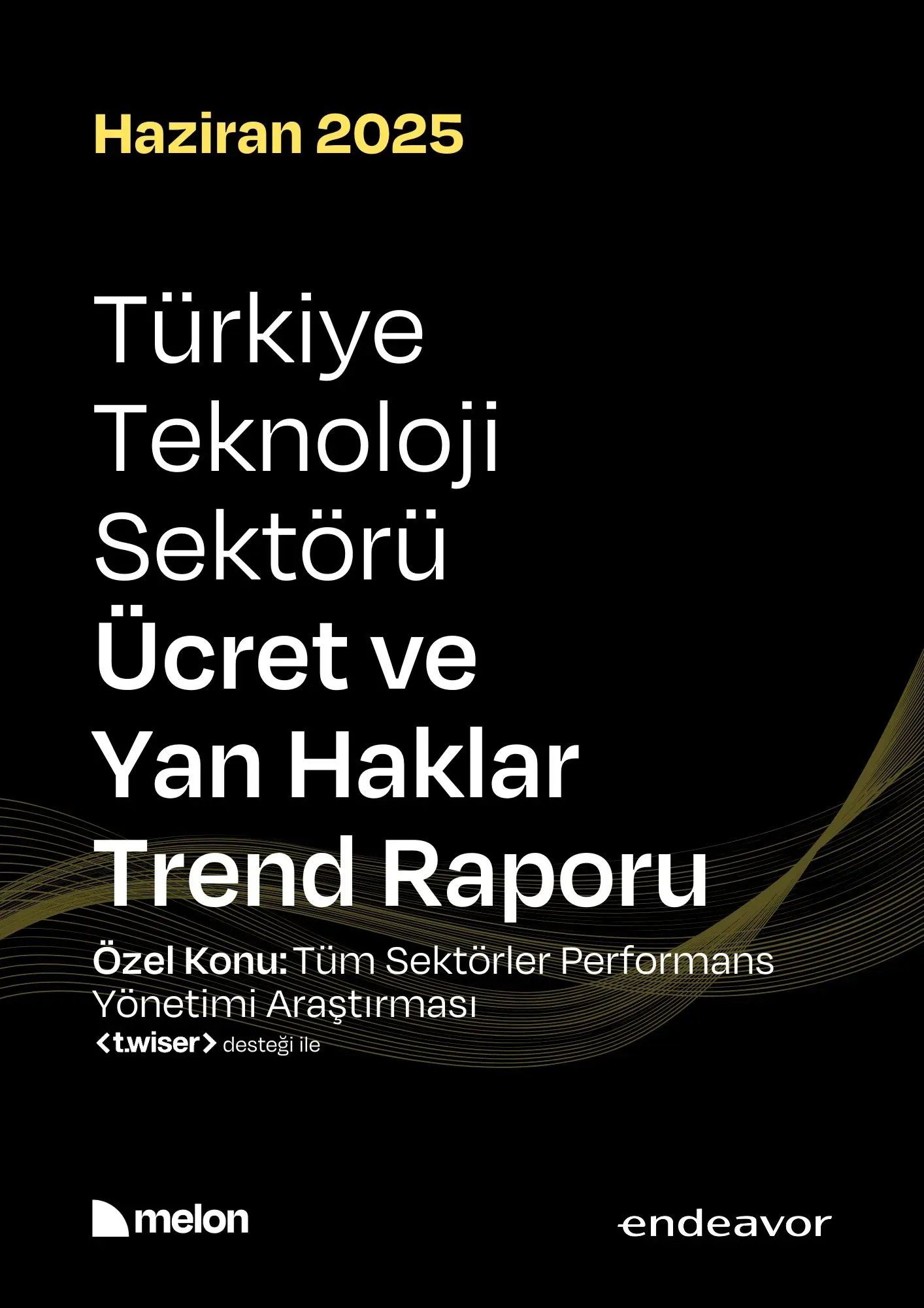 Türkiye'de Teknoloji Sektörü 2025: Büyüme ve Kariyerler