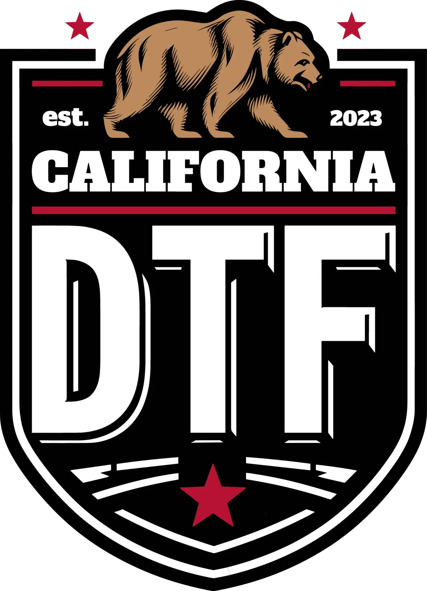 California DTF Marketing: From Design to Delivery Success