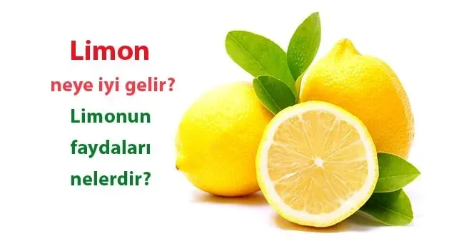 Limonun Sağlık Faydaları: En Sağlıklı Meyve Seçimi