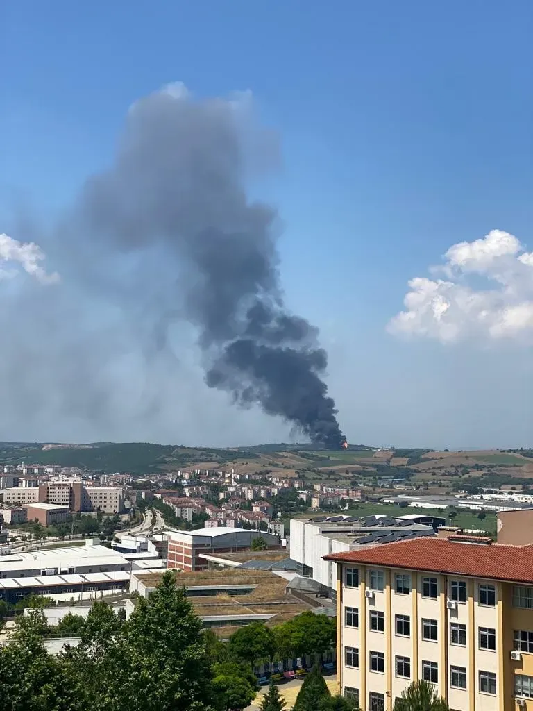 Bursa Yangını: Orman Yangınları ile Mücadele Devam Ediyor