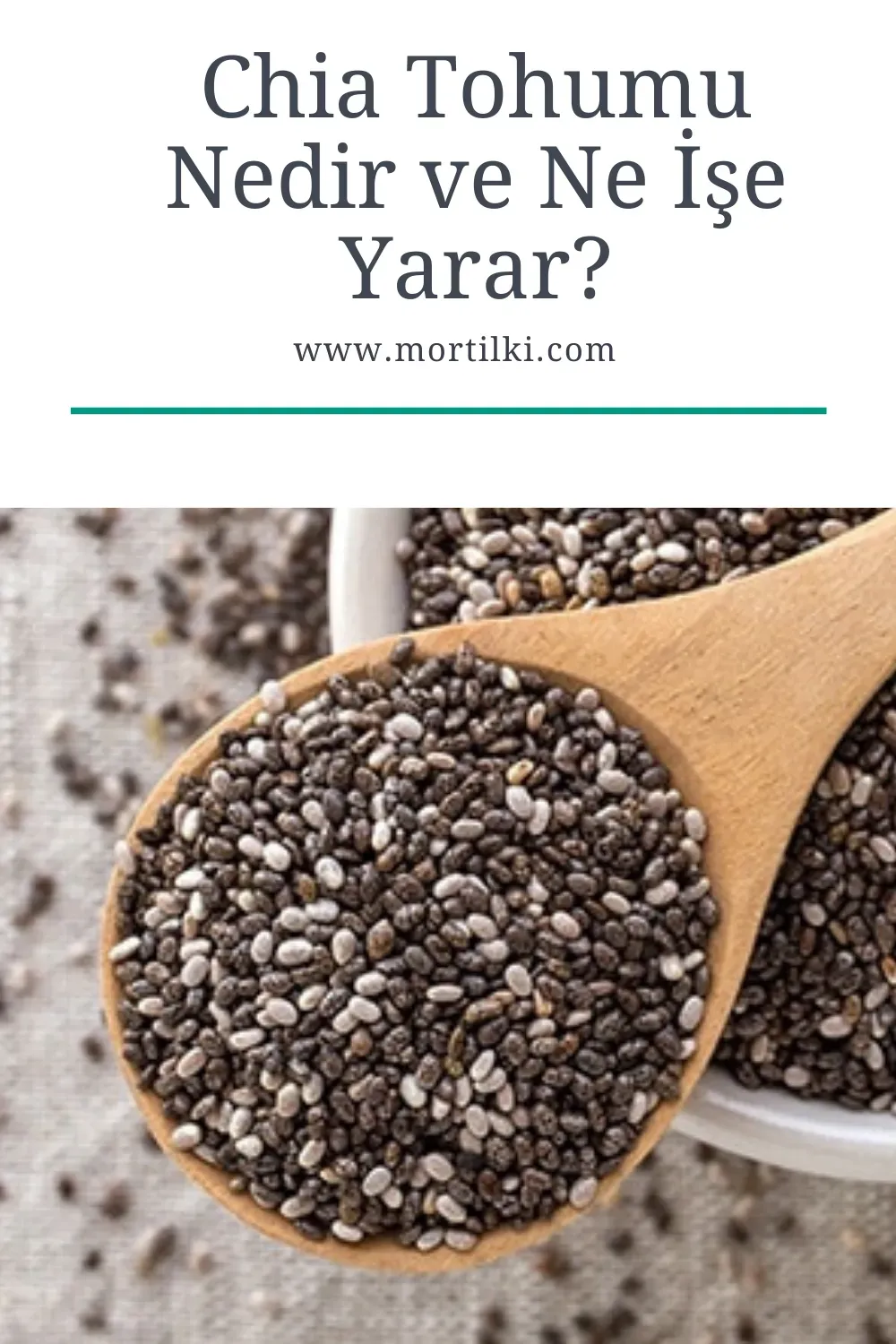Chia Tohumları: Her Gün Tüketmenin Faydaları ve Riskleri