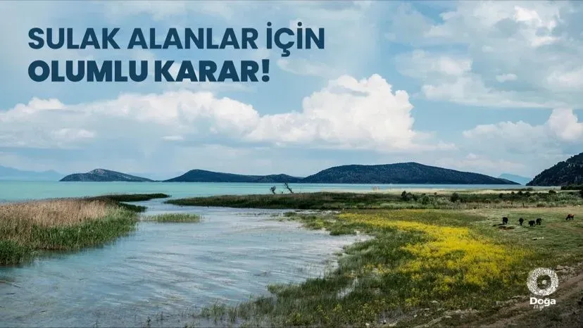 Doğa için bilimsel karar verme: Yöntemler ve politika