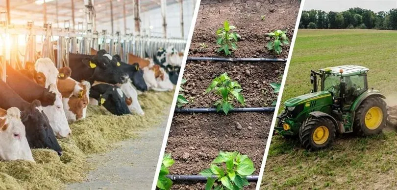 Tarımda Dönüşüm: Organik ve Dikey Tarım Bilimsel Yaklaşımlar
