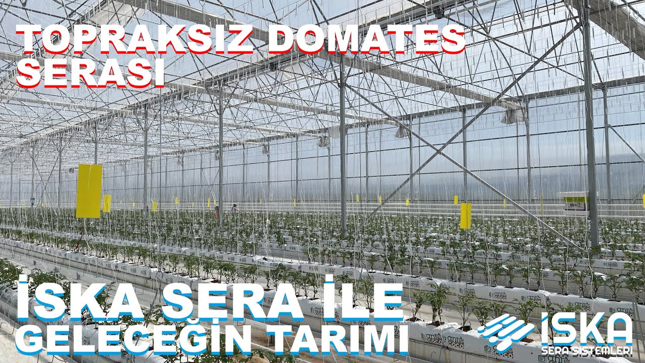 Geleceğin Tarımı: Dikey Tarım Ve Sürdürülebilir Gıda Üretimi