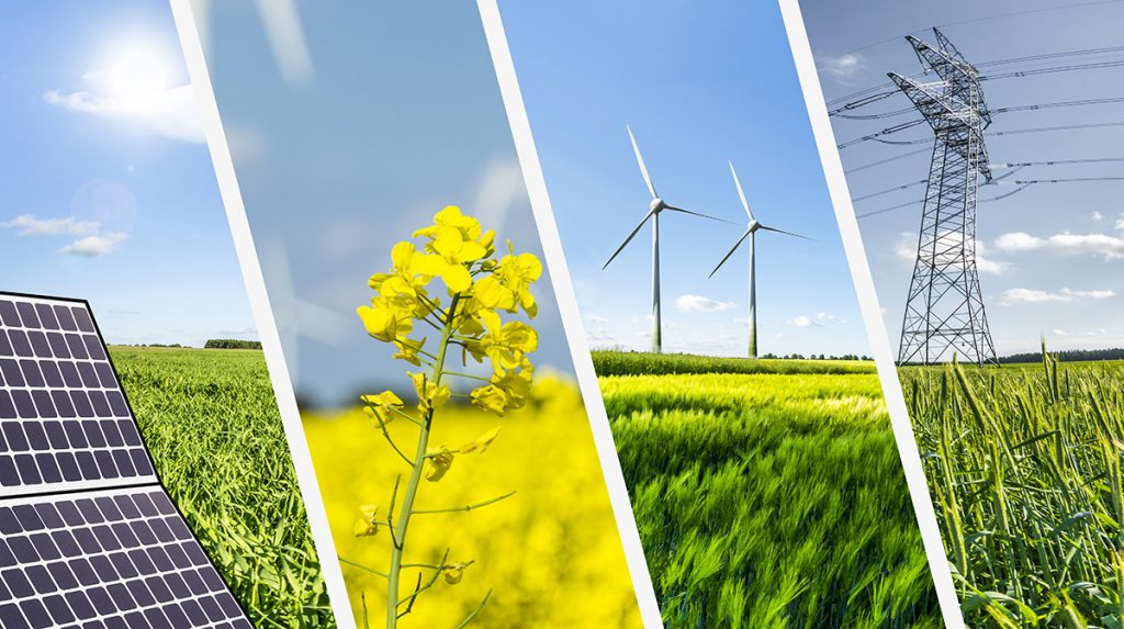 Yenilenebilir Enerji Kaynaklarının Geleceği