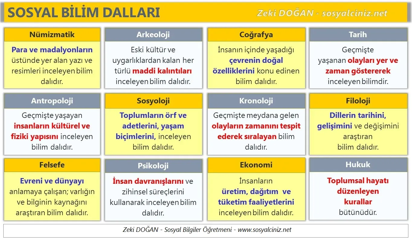 Sosyal Bilimler: Geleceğin Türkiye'si İçin Temel Gereksinim