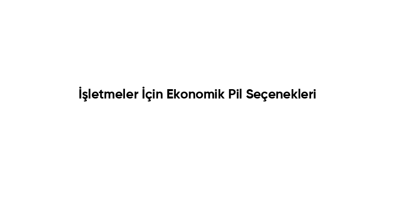 İşletmeler İçin Ekonomik Pil Seçenekleri