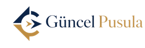 guncelpusula.com