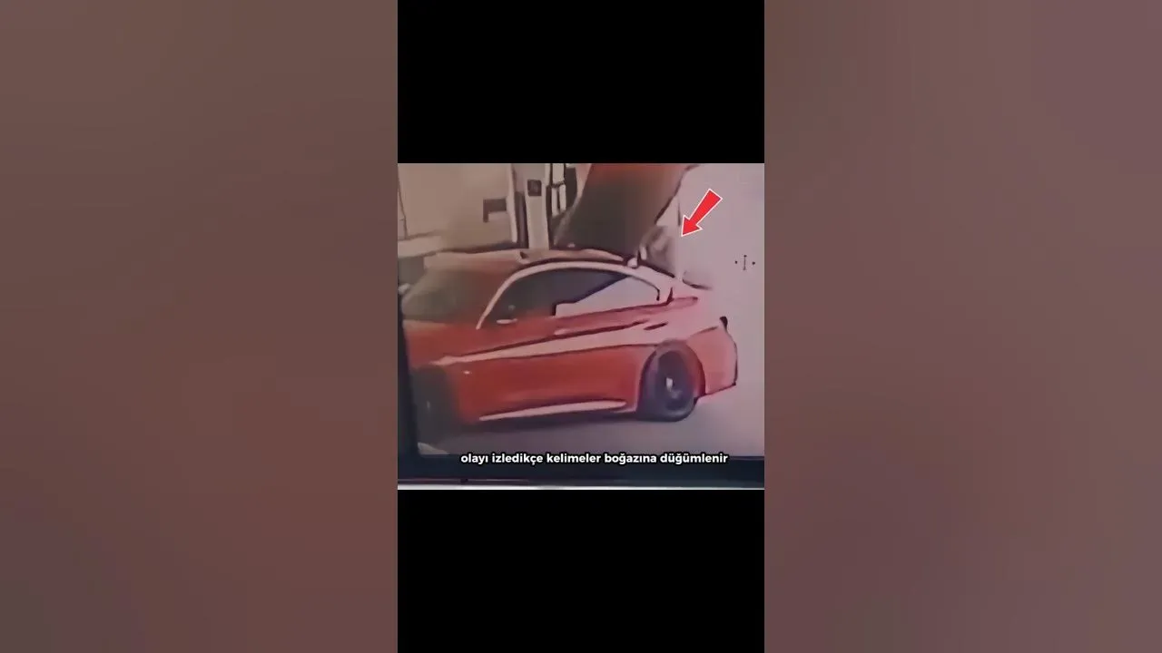 Ayşe Tokyaz Cinayeti: 4 Polis ve Güvenlik Gözaltında