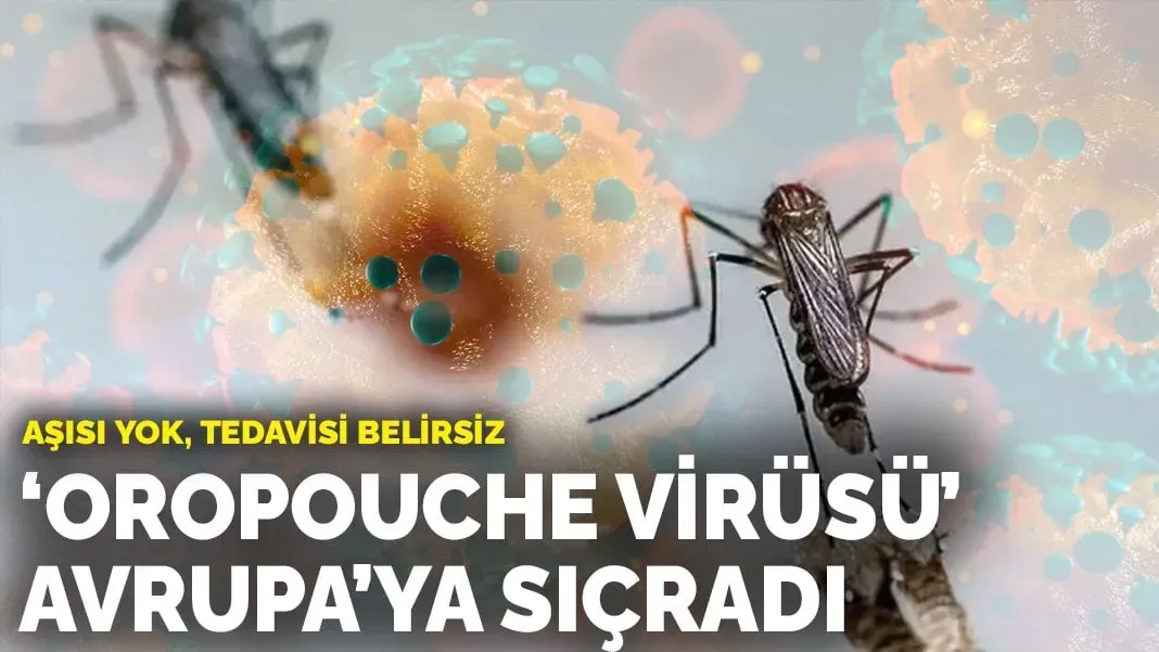 Oropouche Virüsü: Belirtileri ve Bulaşma Yolları