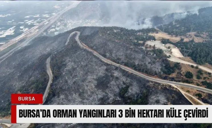 Orman Yangınları ve Su Kesintileri Hakkında Açıklama