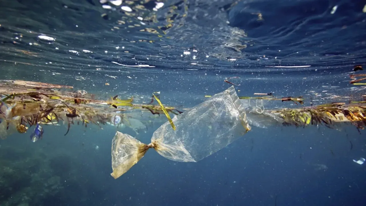 Denizlerde Mikroplastik: Çevre Sorunları ve Çözüm Önerileri