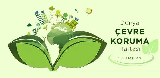 Çevre Koruma: Gezegenimizi Korumak Neden Önemli?