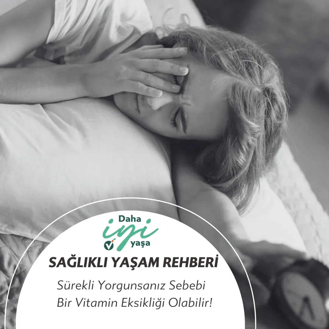 Saglik ve Yasam Evde Saglikli Atistirmaliklar Rehberi