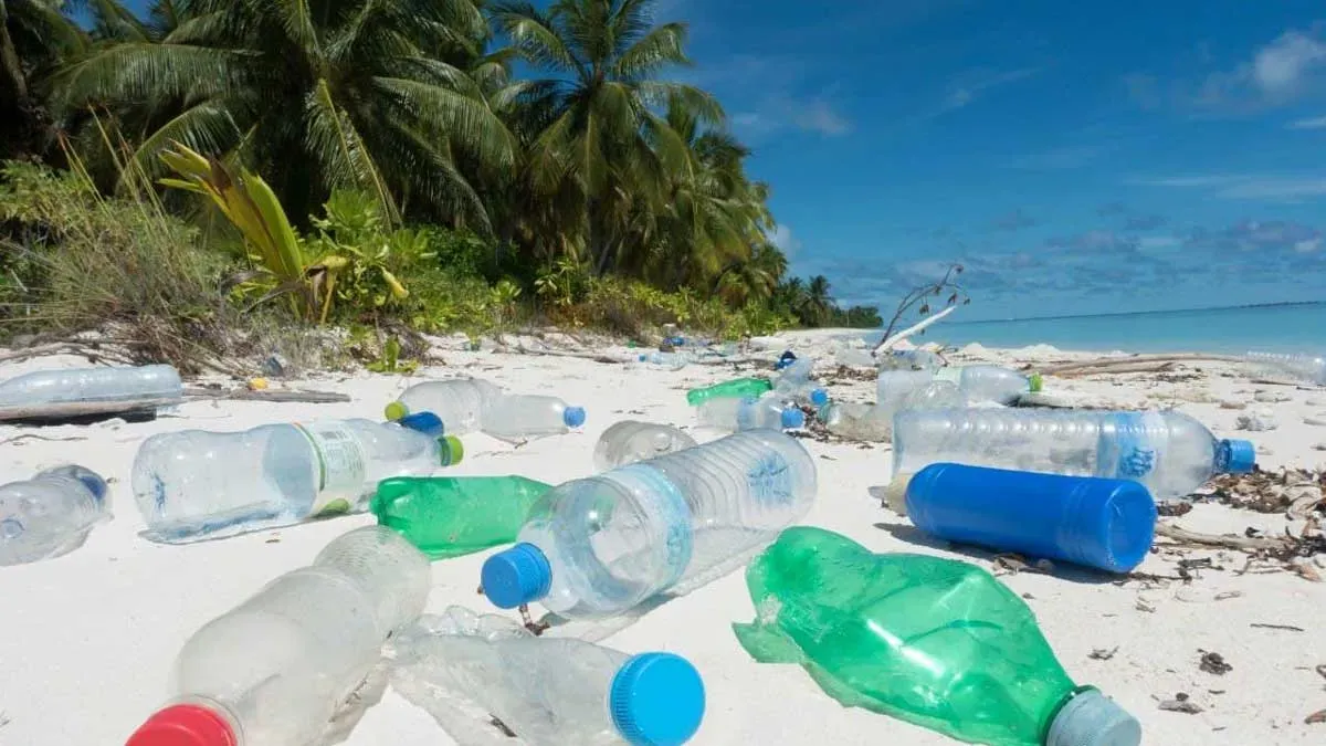 plastik kirliliğini azaltmanın pratik yolları: basit adımlar