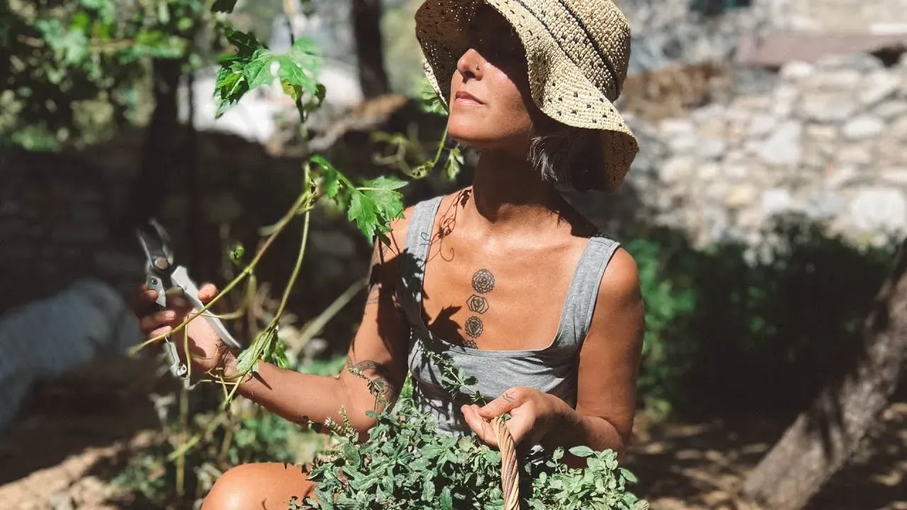 Doğayla İç İçe Yaşamanın Yolları: Çevre ve Doğa Rehberi