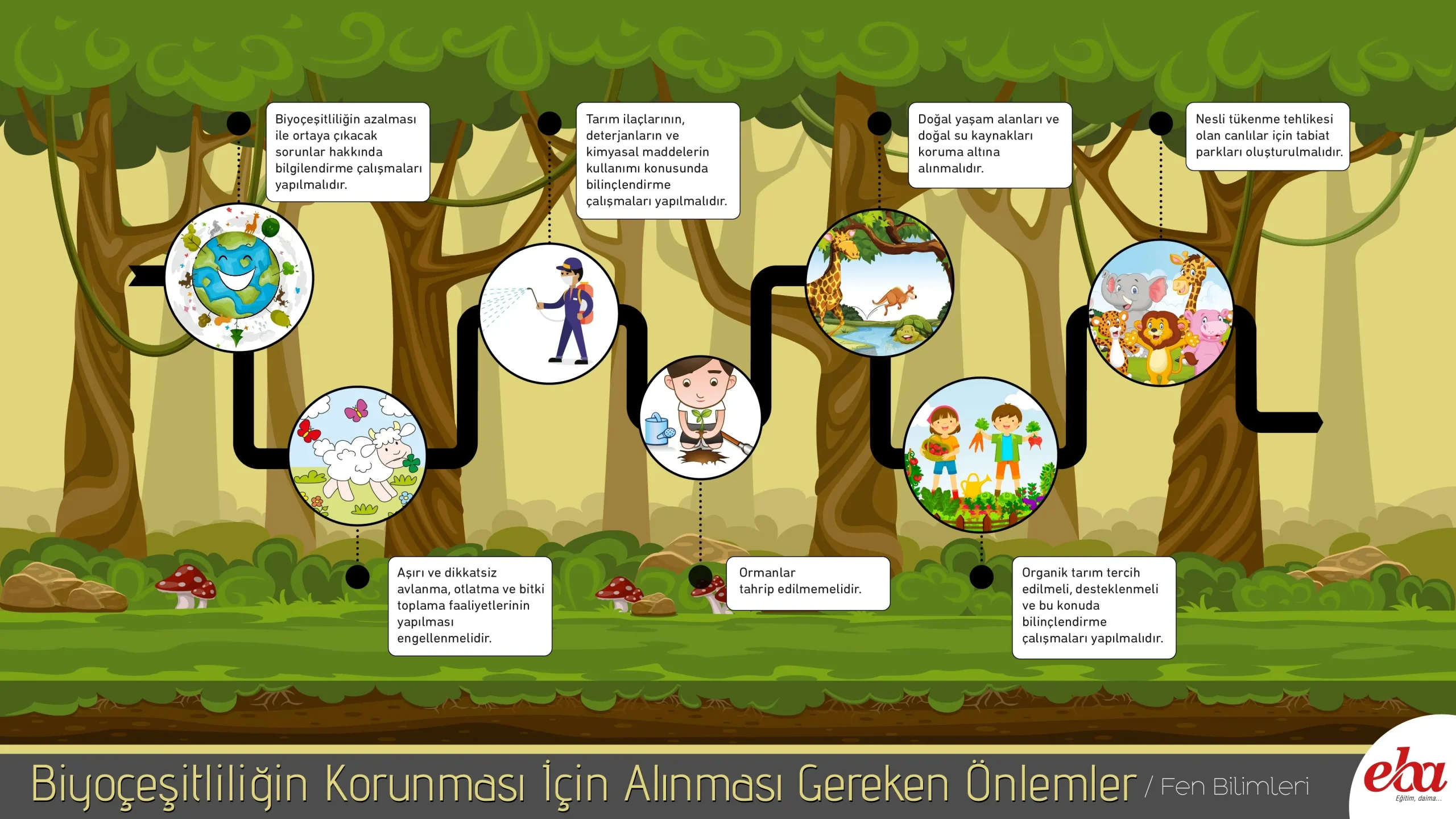 Yerel Biyoçeşitliliği Korumak İçin Basit Adımlar Şimdi