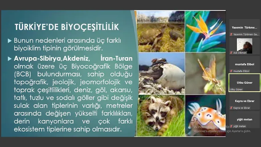 Türkiye'de Biyoçeşitlilik Koruma: Stratejiler ve Uygulamalar