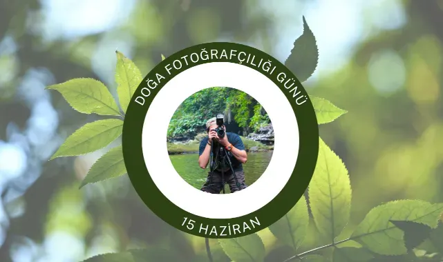 Doğa Fotoğrafçılığı ile Çevre Farkındalığı İçin Stratejiler