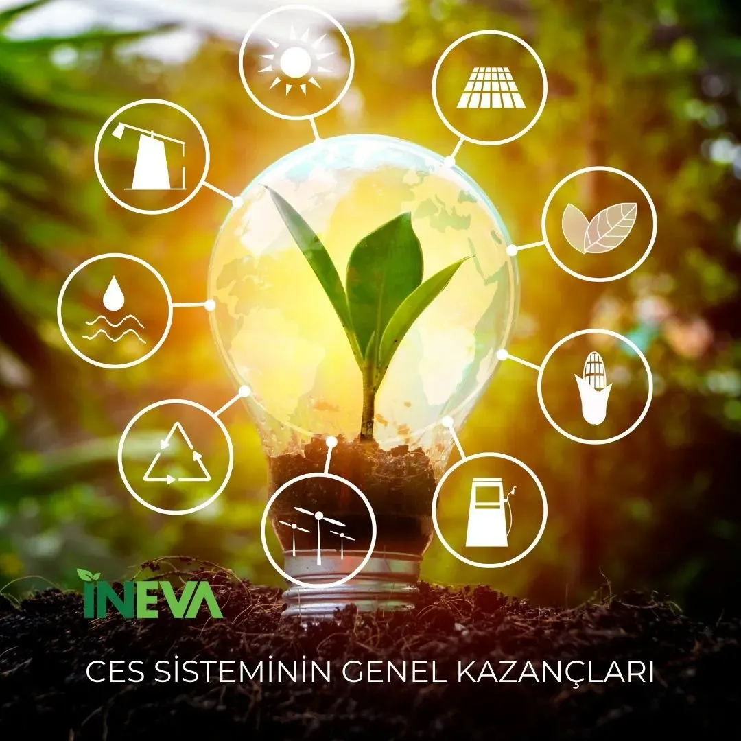Çevre ve Doğa Teknolojileri: Yaşama En Faydalı Yenilikler