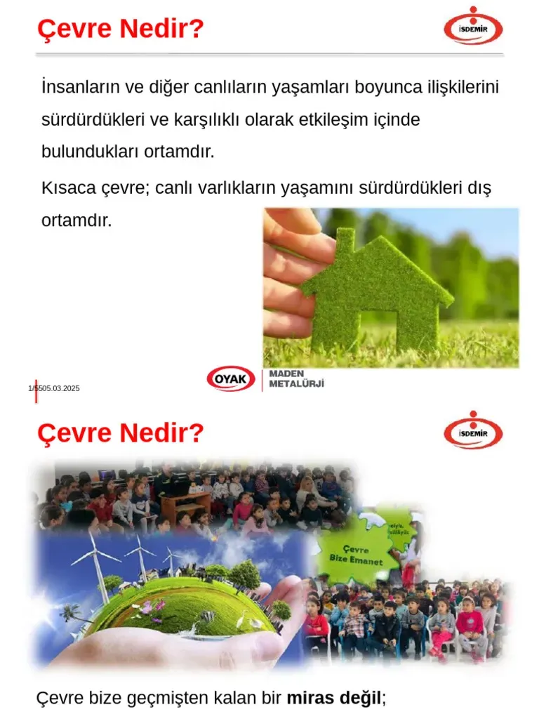 Geri Dönüşümden Başlayarak Atıkları Azaltma: Pratik Rehber