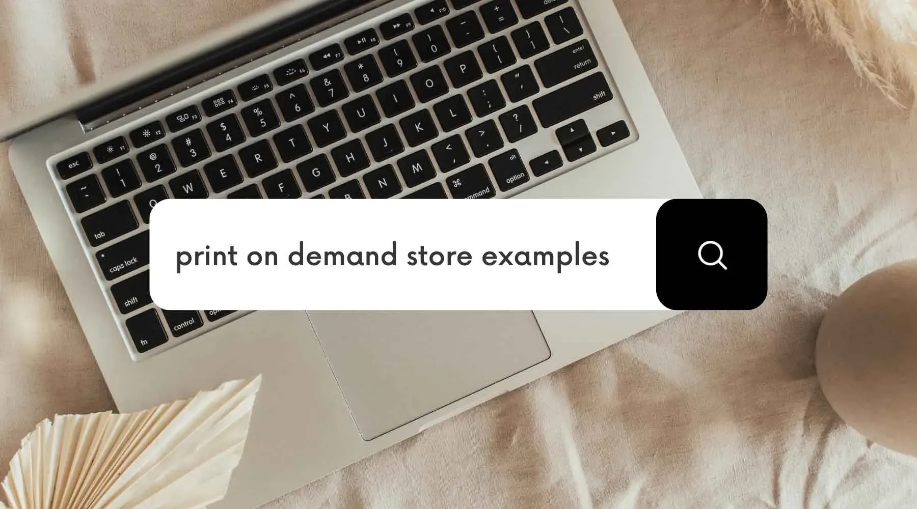 Print on Demand Store Case Study: Small Brand Success