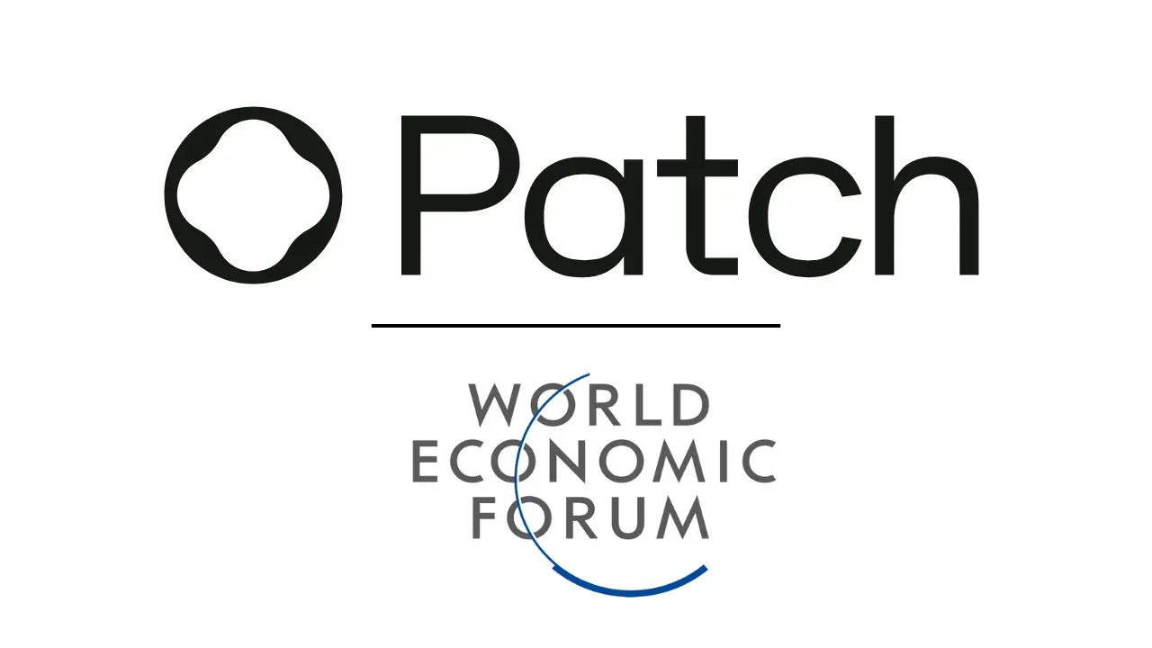 Patch Economics: Valuing Updates in a Safer World Today
