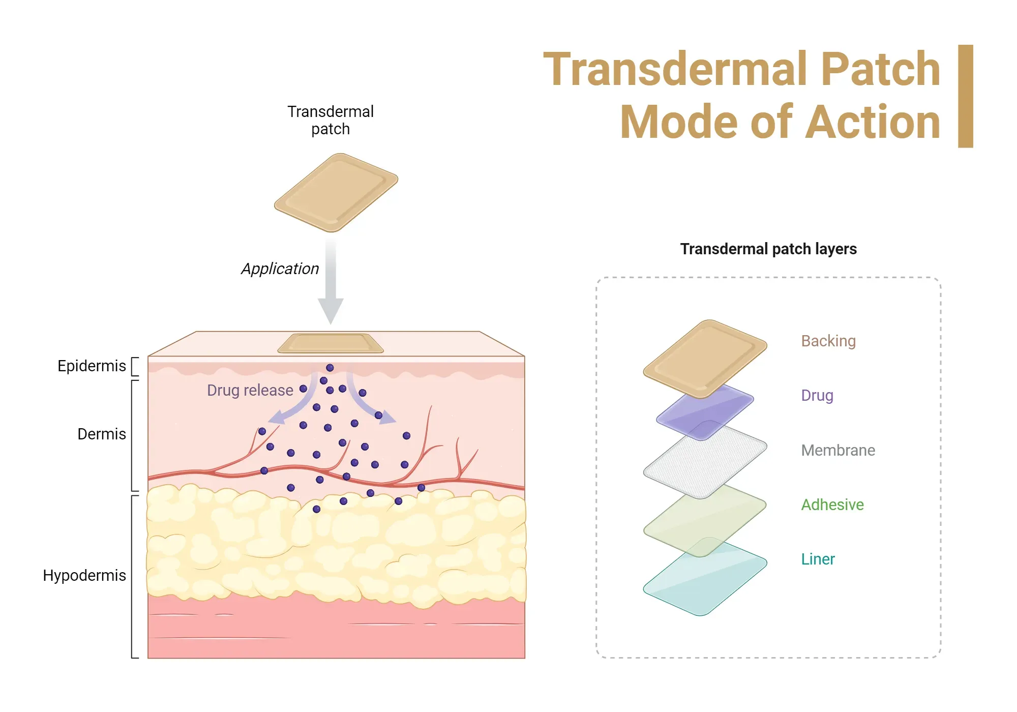 Transdermal Patches Explained: How They Work and Types