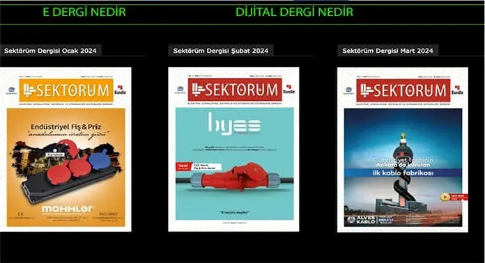 Dijital Dergi Online Başarısı: İçerik ve Gelir Stratejileri