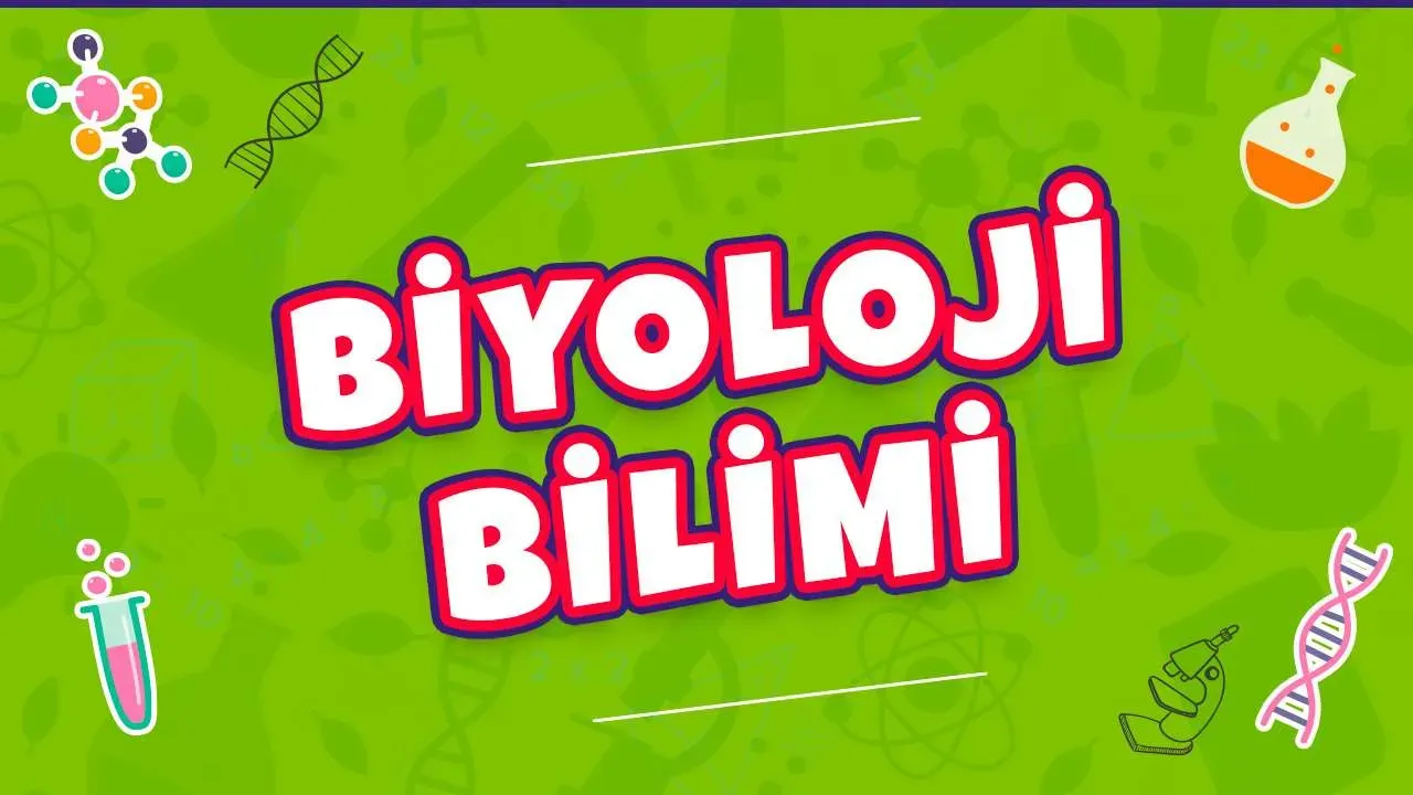 Biyoloji Bilimi: Hücrelerden Ekosistemlere Kapsamlı Bakış Rehberi