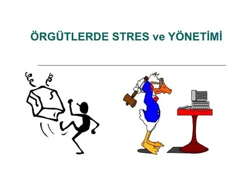 Sağlık ve stres yönetimi: meditasyon ve nefes egzersizleri