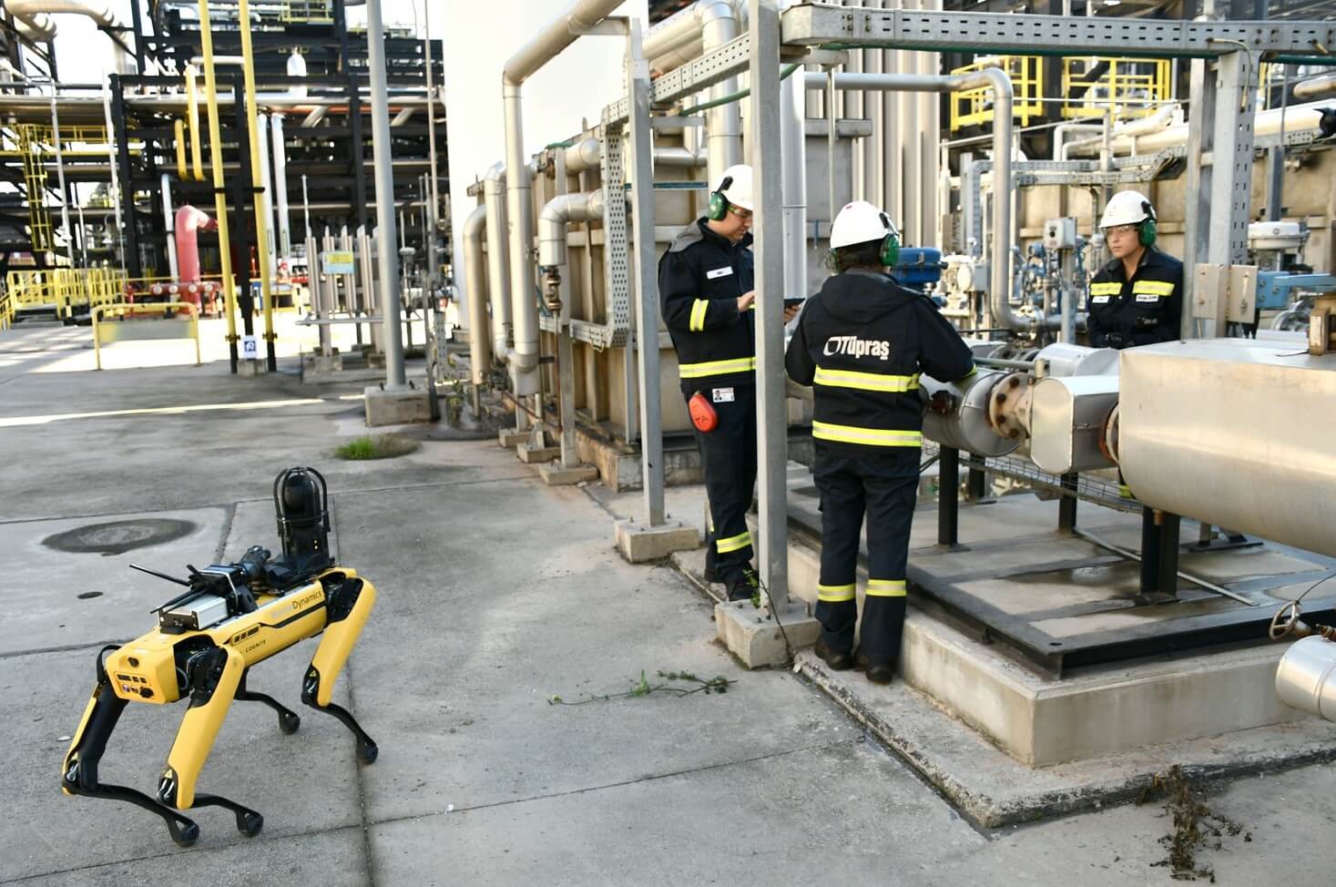 Yapay Zekâ Destekli Robotlar Artık Evlerde