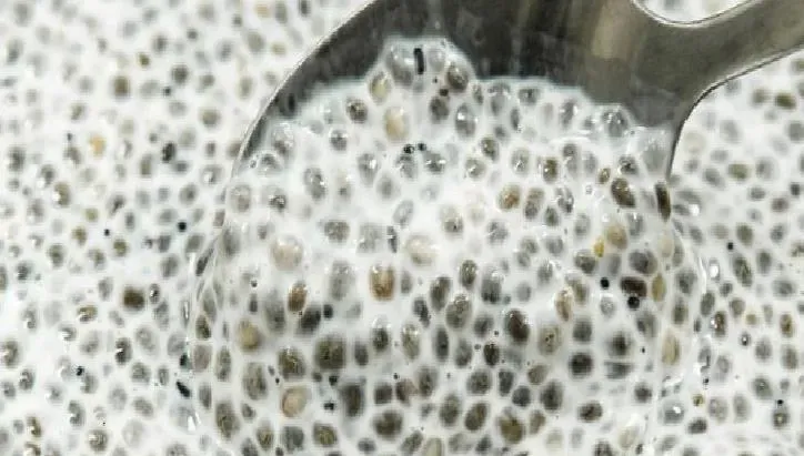 Chia Tohumlarının Tüketim Zamanı: Sabah mı Akşam mı?